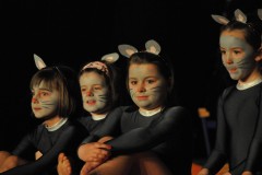 FSGCold-2012-DIV_2591-845