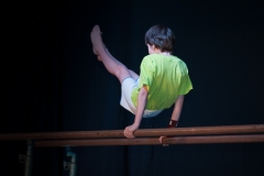 FSGCold-2014-SOIREE_FSG_2014_6141-1076